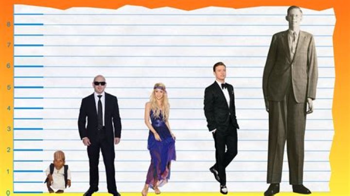 How Tall is Pitbull Singer ? Pitbull singer height Height Of