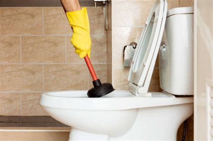 How To Clear Clogged Toilet Storables