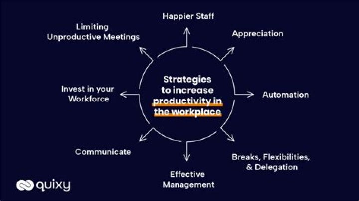 How to Improve Practice Management in Veterinary Practices