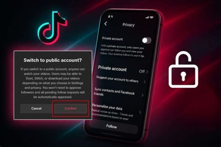 How to Make Your TikTok Account Private (So Creeps Can't Lurk or