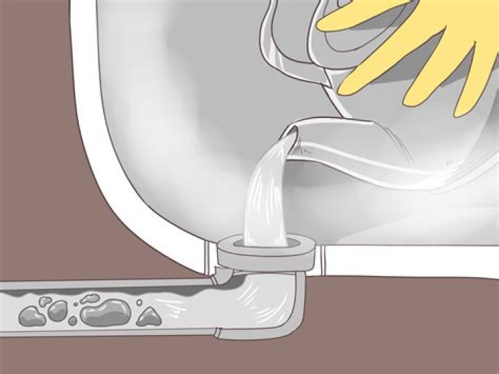How to Plunge a Clogged Toilet Family Handyman