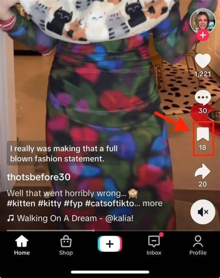 How to Save TikTok Videos on Your Mobile and PC？ TurboFuture