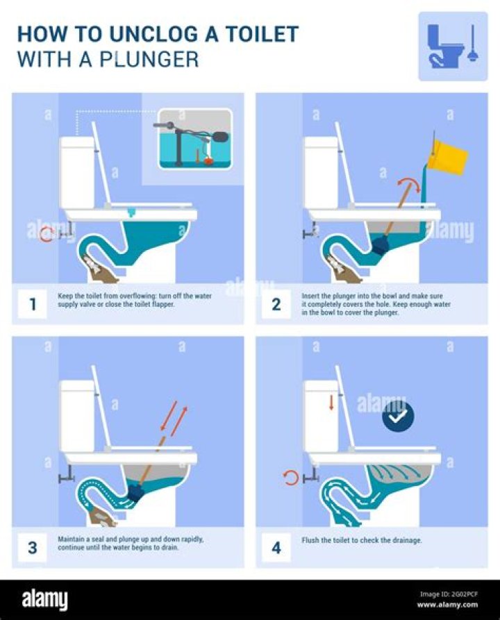 How to Unclog Toilet With Dish Soap?