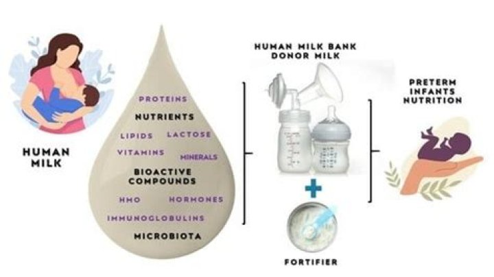 Human Milk is the Human Norm Jennifer Grayson 134 &mdash; Daniel Vitalis