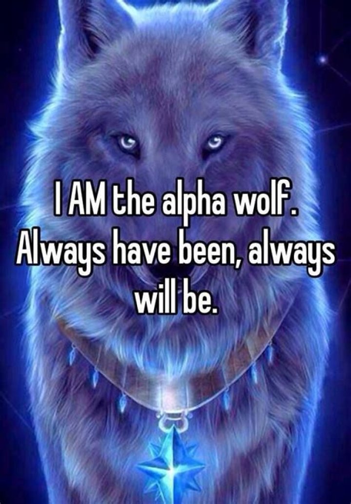 I AM THE ALPHA WOLF! Alpha werewolf, Wolf meme, Alpha wolf