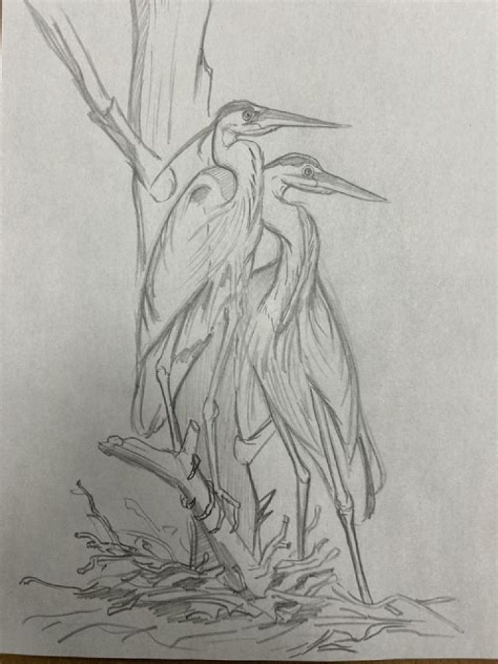 I did a Quick Sketch of Corpse this afternoon. /r/CorpseHusband