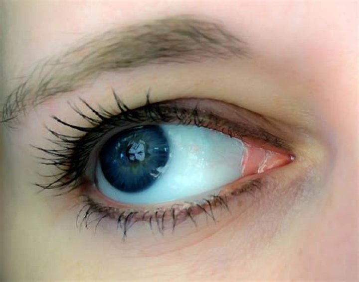 I See You Free Stock Photo Public Domain Pictures