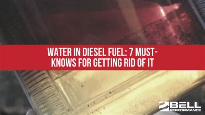 If it ain&rsquo;t a diesel, it ain&rsquo;t Papi Taylor Breesey Taylor Breesey