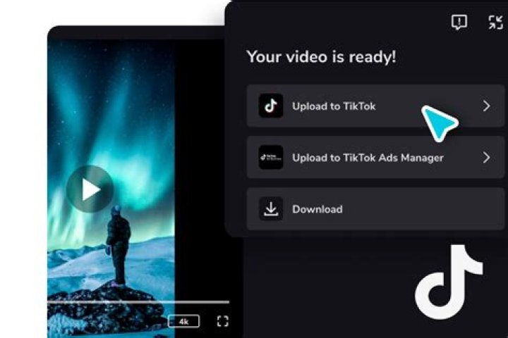Ile kosztuje r&oacute;ża na TikTok Poznaj wartość prezentu w postaci r&oacute;ży