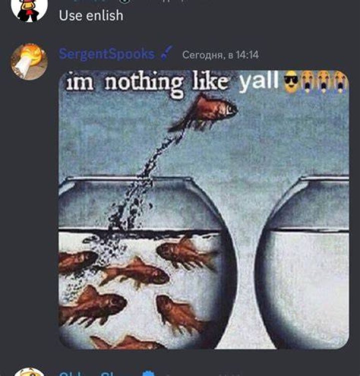 Im nothing like yall 😎😭😭😭 r/ZargoryanGalaksisi