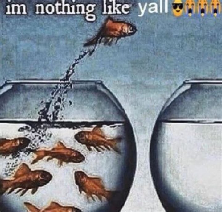 Im Nothing Like Yall meme I'm Nothing Like Y'all Know Your Meme
