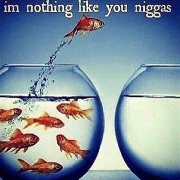 Im nothing like you niggas iFunny
