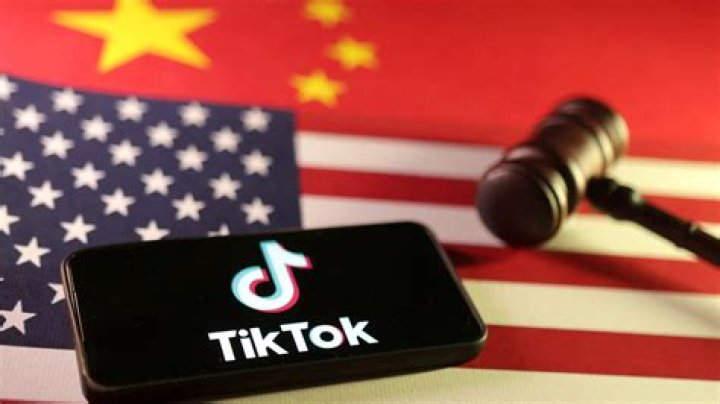 Indian lawmakers call for TikTok ban, alleging spread of &lsquo;cultural