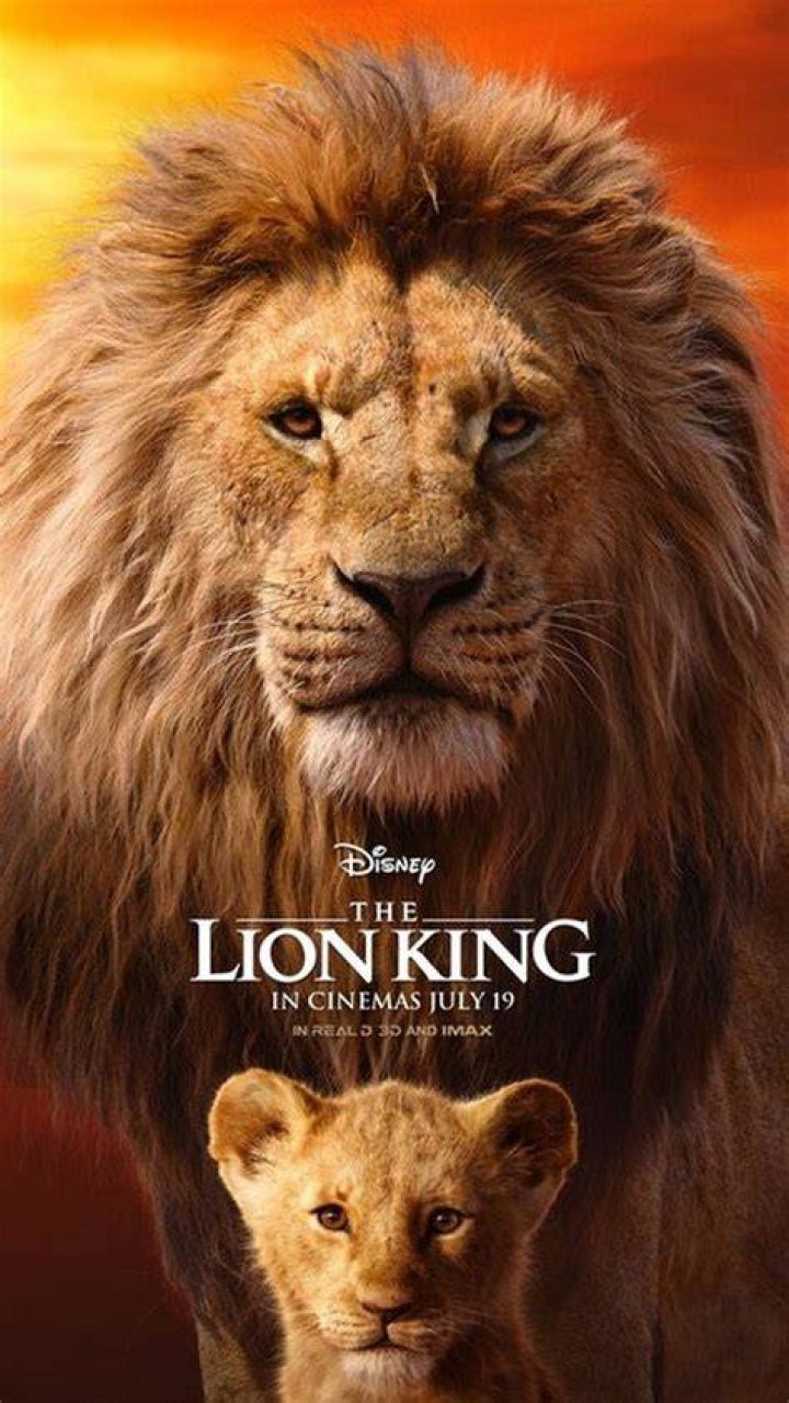 indiskie\ индиский фильмы lion
