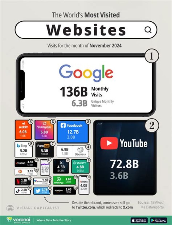 Infographic Ranking the Top 100 Websites in the World