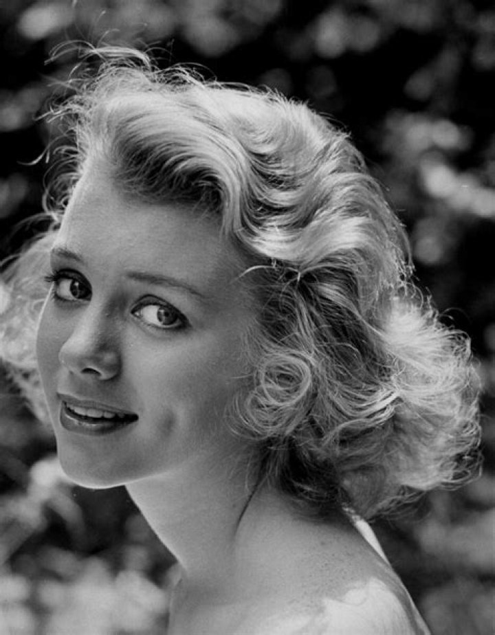 Inger Stevens Inger Stevens Actresses Swedish Actresses Hot Sex Picture
