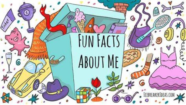 Interesting fun facts about me