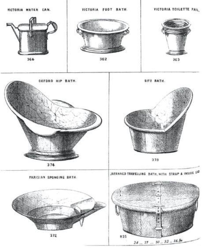 Internal Organs Engraving Late 1800s