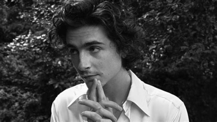 Interview Timoth&eacute;e Chalamet on being a young Hollywood actor SilverKris