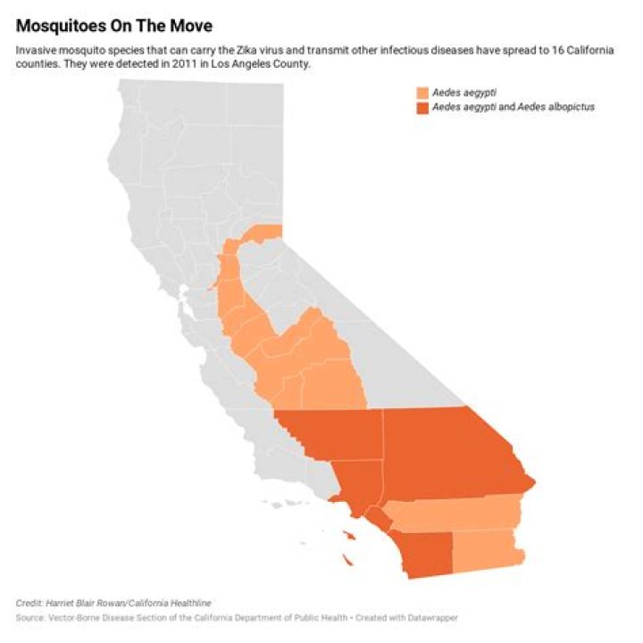 Invasive mosquitoes plunge deeper into California