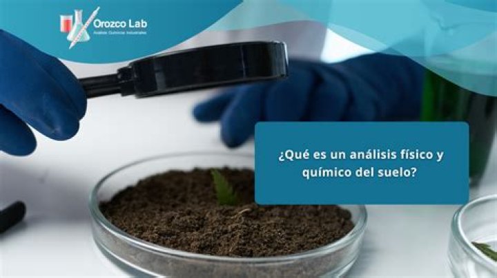 &iquest;Cu&aacute;l es la implicaci&oacute;n del dentista en pacientes con labio leporino