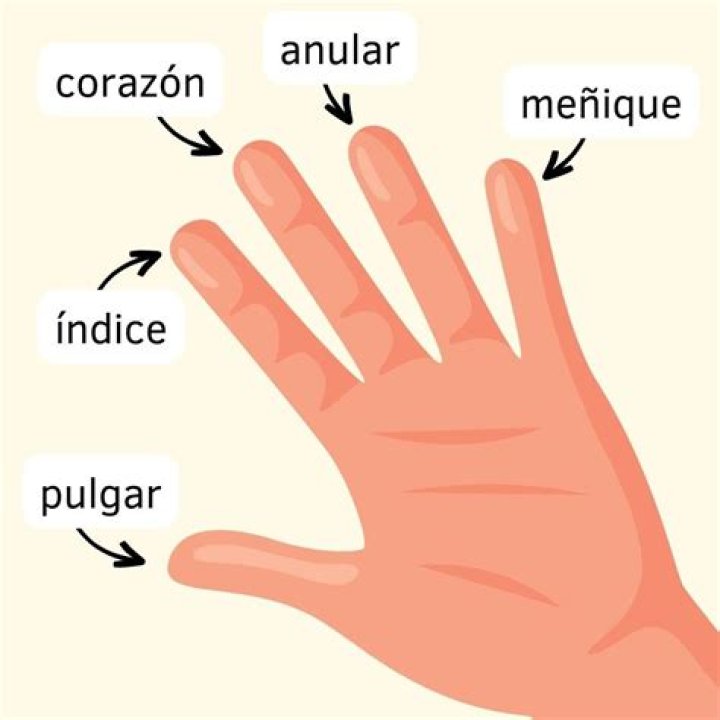 &iquest;Por qu&eacute; el nombre de Flor Silvestre?