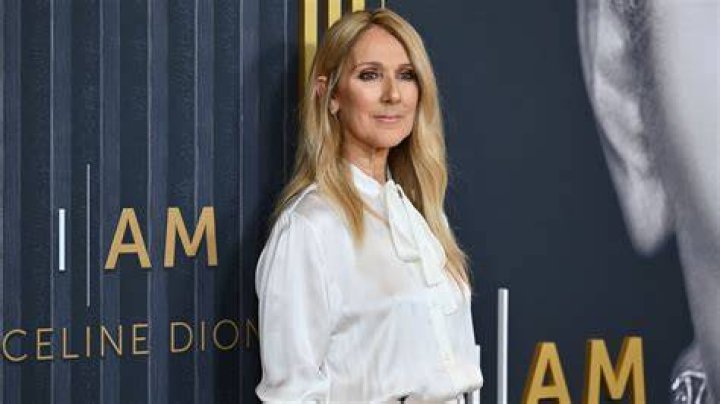 Is Celine Dion Dating? Singer 'Still in Love' With Late Husband Ren&eacute;