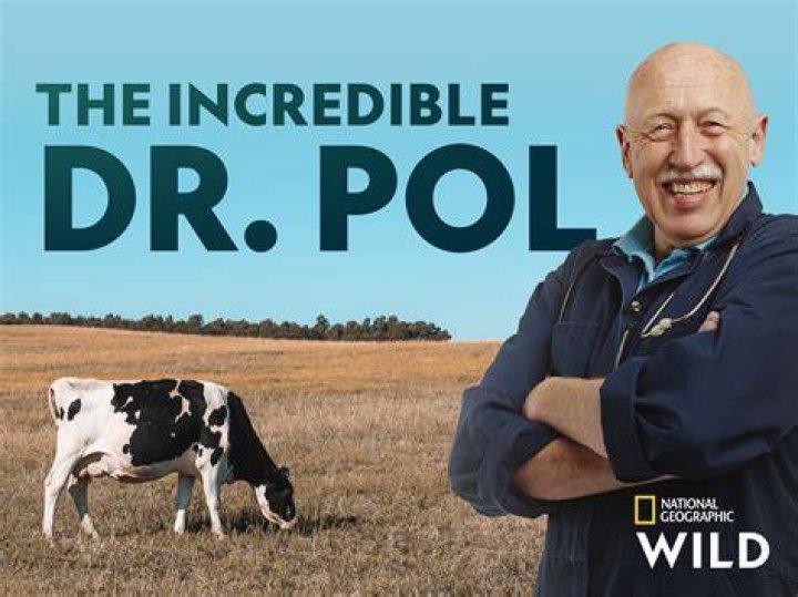 Is Doctor Pol Still Practicing? A Look Into His Career