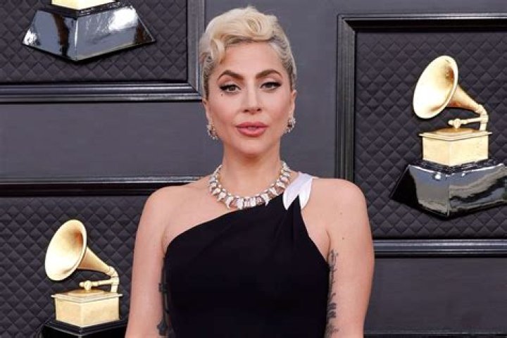 Is Lady Gaga transgender or just a supporter? All the facts and