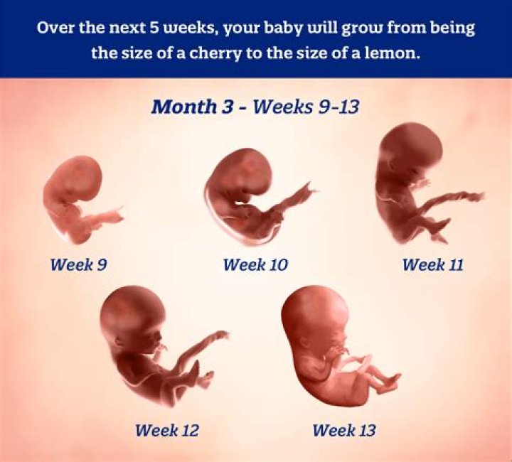 Is The 3Month Rule A Real Thing? Here's What You Should Know