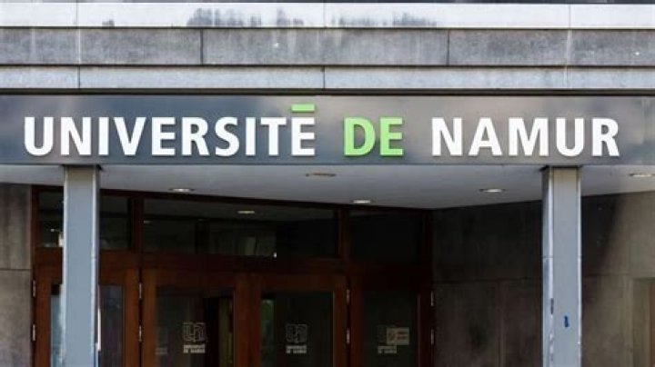 J&eacute;r&ocirc;me FINK University of Namur, Namur FUNDP Division of