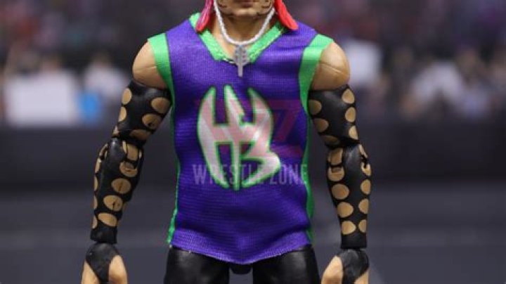 Jeff Hardy & Matt Hardy story archive Slam Wrestling