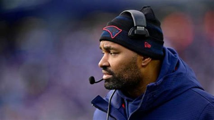 Jerod Mayo's Dog Trainer Speaks Out After Dog Dies in Her Home