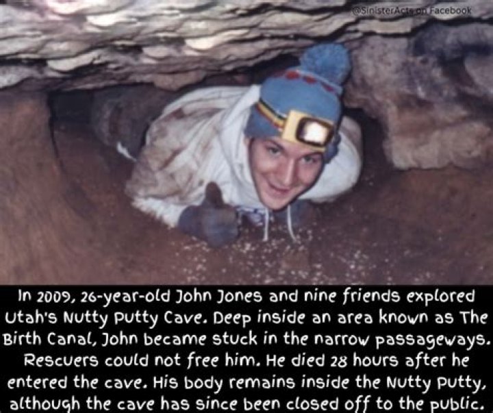 John Jones Cave Photos How Much Net Worth Did Bart The Bear Own? His