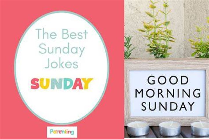 Joke for Sunday, 17 April 2016 from site Minion Quotes I