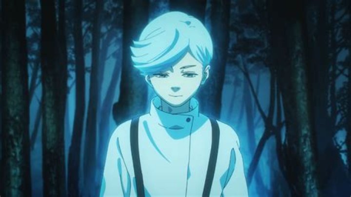 Jujutsu Kaisen Who is Ui Ui, Mei Mei&rsquo;s Younger Brother?