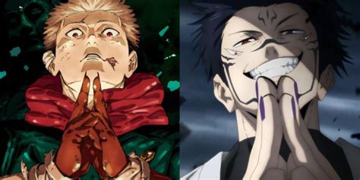 Jujutsu Kaisen Why Did Toji Kill Himself Against Megumi?