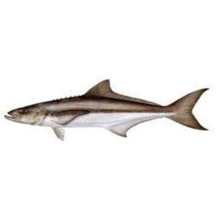 Kadal Viral Fish, Packaging Type Thermocol Box at Rs 430/kilogram in