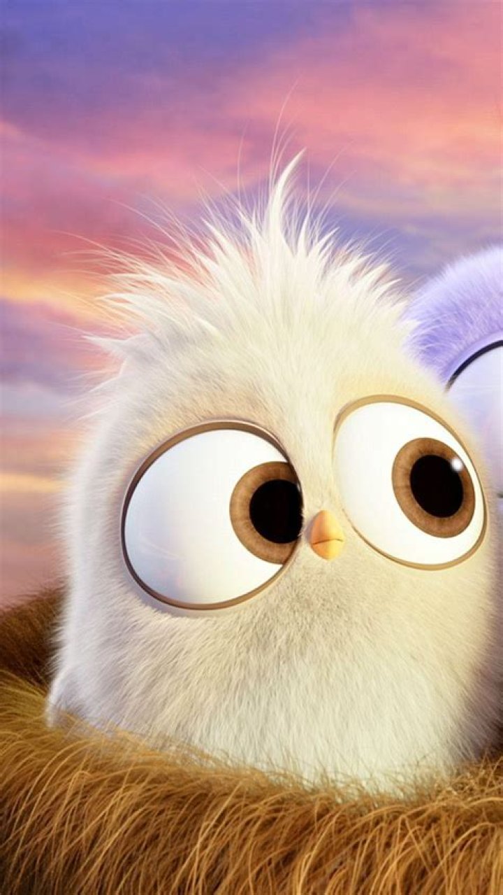 Kawaii Birds Wallpapers Wallpaper Cave