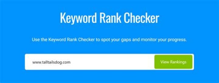 Keyword Rank Checker Revalin