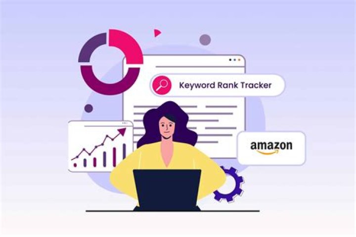 Keyword Tracker All In One SERPs Tracking Dropl