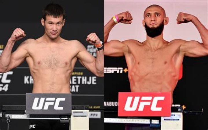 Khamzat Chimaev MMA Twitter gets behind Khamzat Chimaev vs. Shavkat