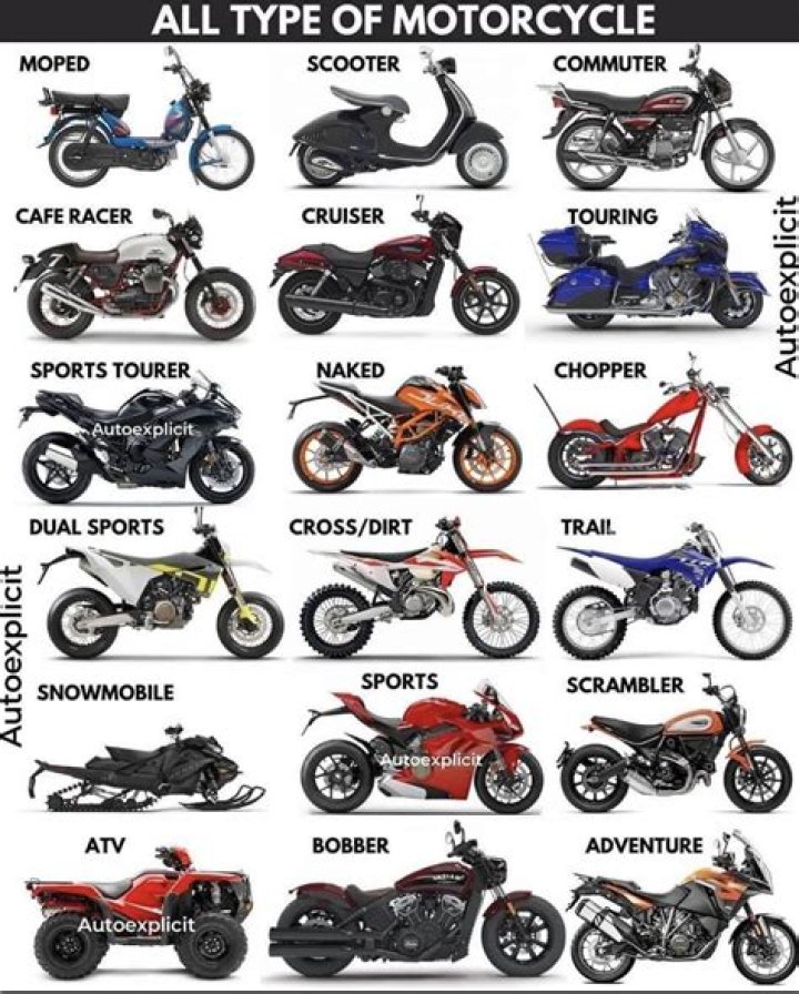 Kinds Of Motorcycles Reviewmotors.co
