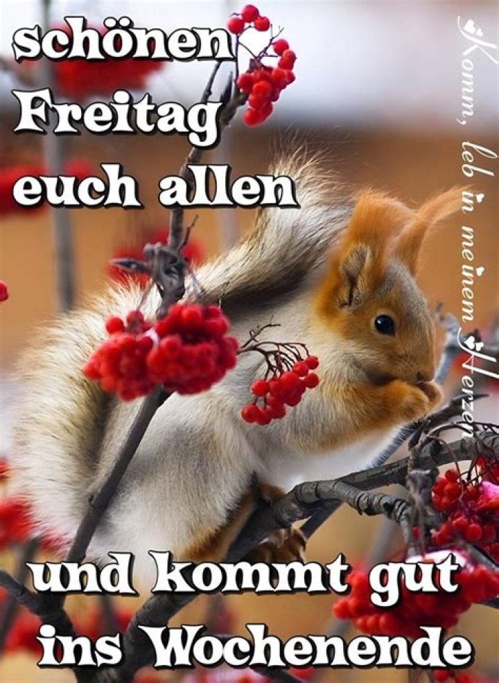 Kommt ihr gut ins Wochenende 🥰🥰😘 beatanitka616 TikTok