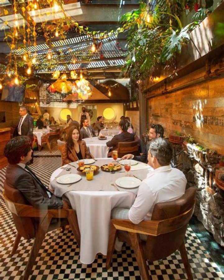 la nueva terraza de cocina mexicana ecl&eacute;ctica al sur de la CDMX