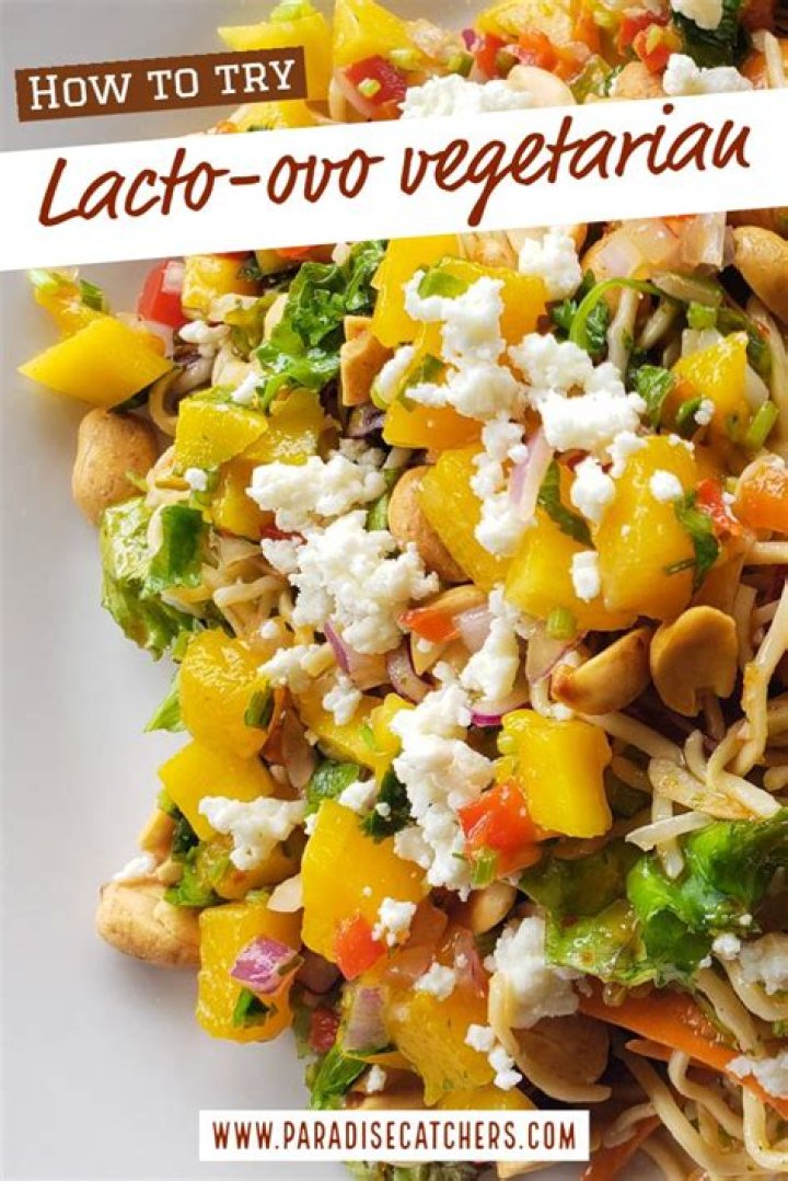 Lacto Ovo Vegetarian Dinner Recipes Besto Blog