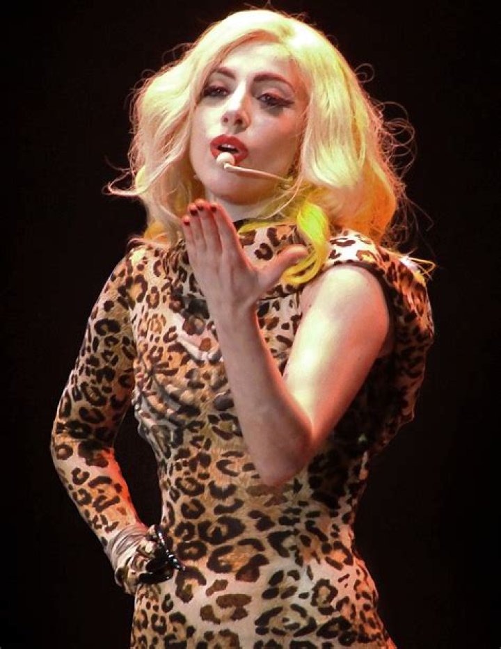 Lady Gaga Overview