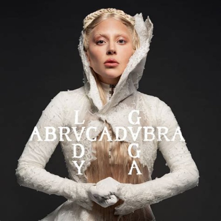 Lady Gaga&rsquo;s &lsquo;Born This Way&rsquo; Shows Album&rsquo;s New Role The New York Times