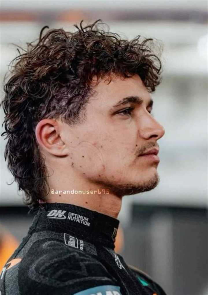 Lando Norris New Haircut Is He Bald Now?