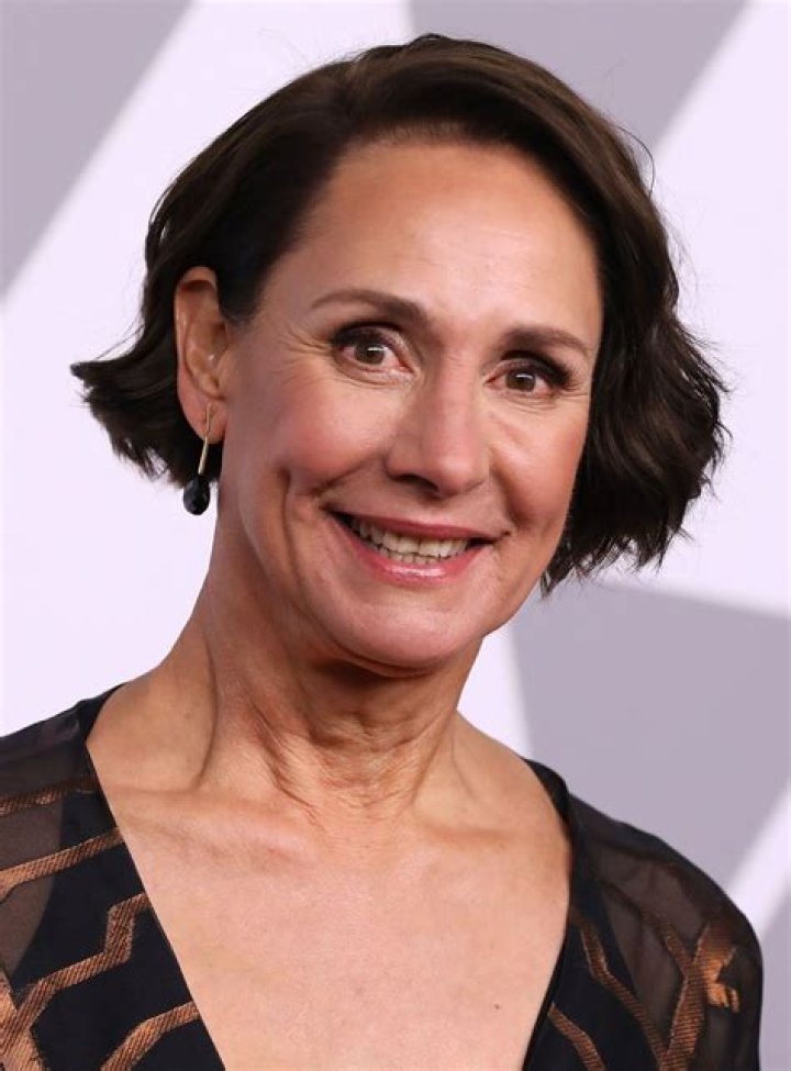 Laurie Metcalf TV Shows, Movies, & Plays Britannica